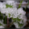 Givre