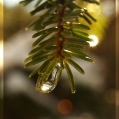 Goutte d'eau