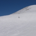 IMG_5017.JPG