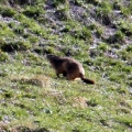 ours_mamotte-3.jpg