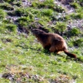 ours_mamotte-4.jpg
