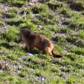 ours_mamotte-5.jpg