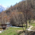 ours_paysage.jpg