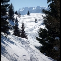 La sapinière