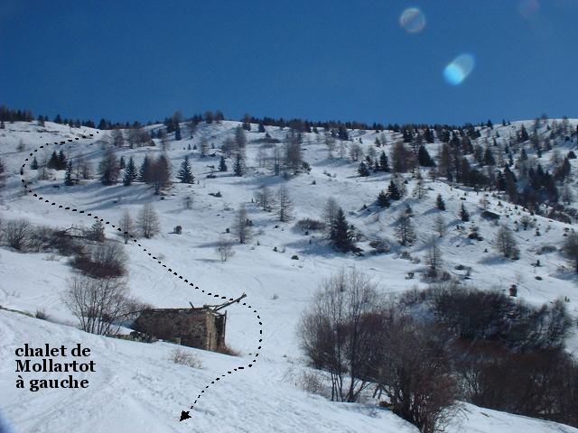 08mollar
