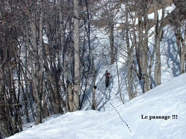 12mollar