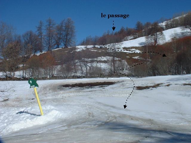 14mollar