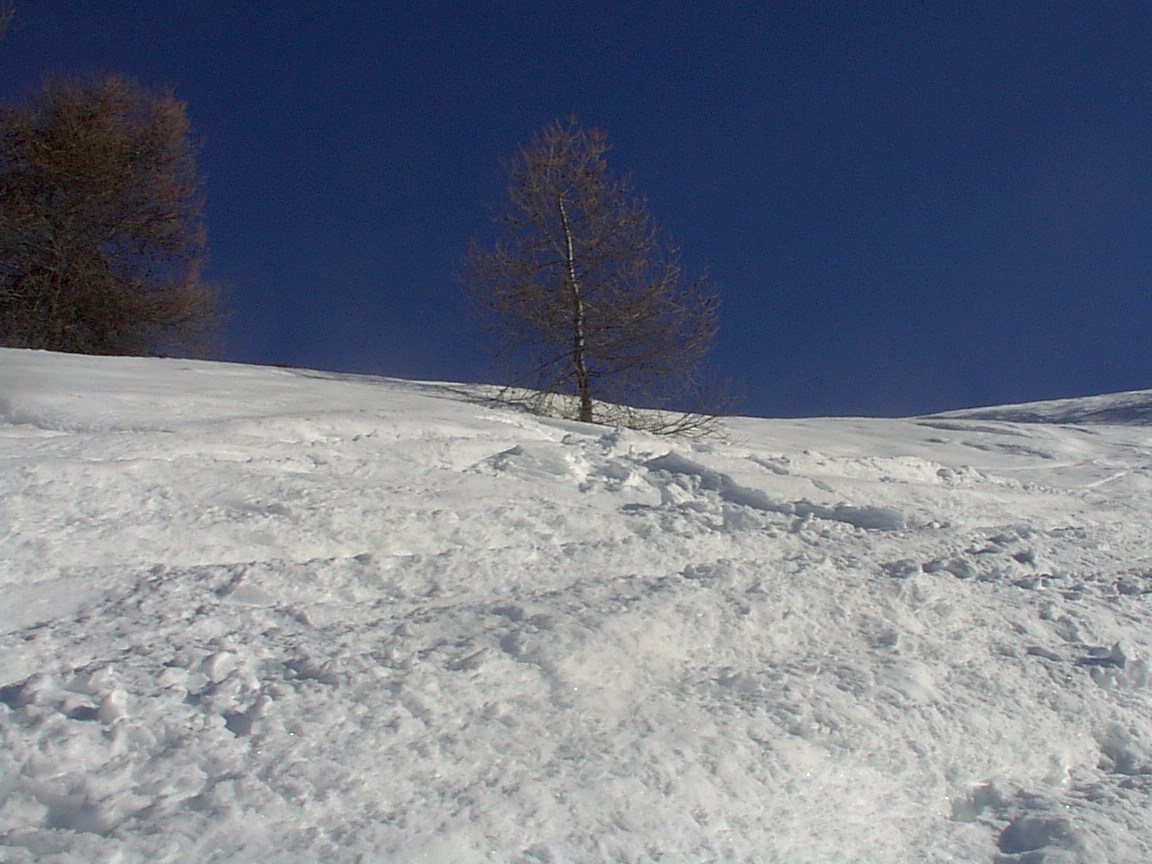 image0064td