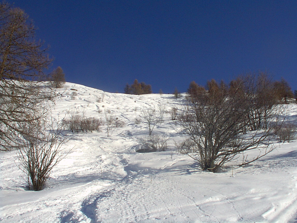 image0102nx