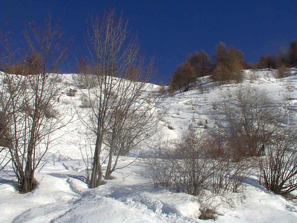 image0260oh