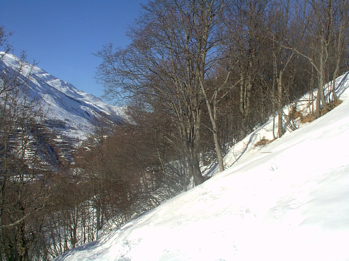 image0297kx