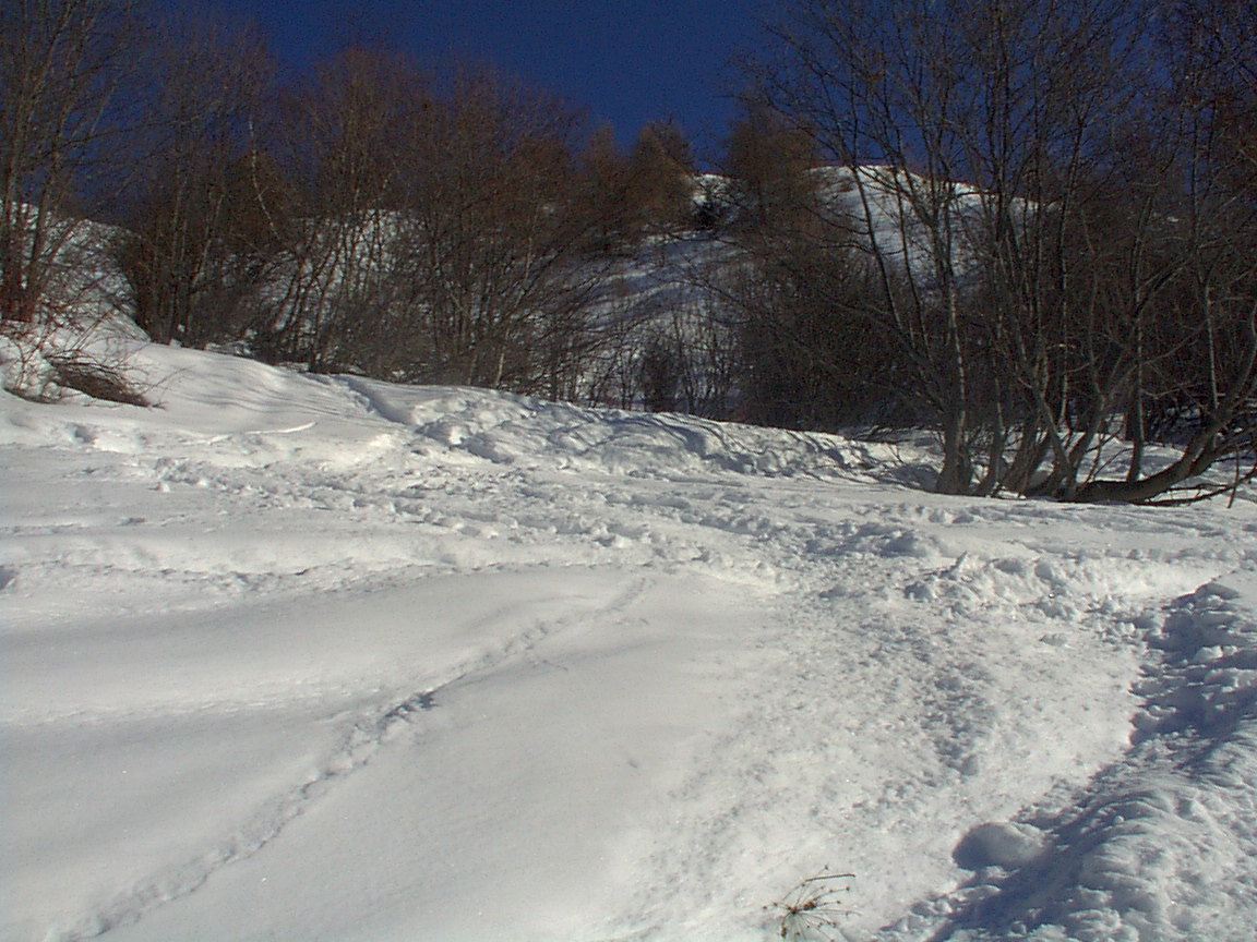 image0302xr
