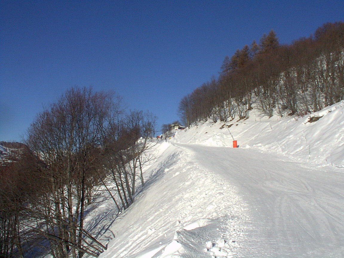 image0330yc