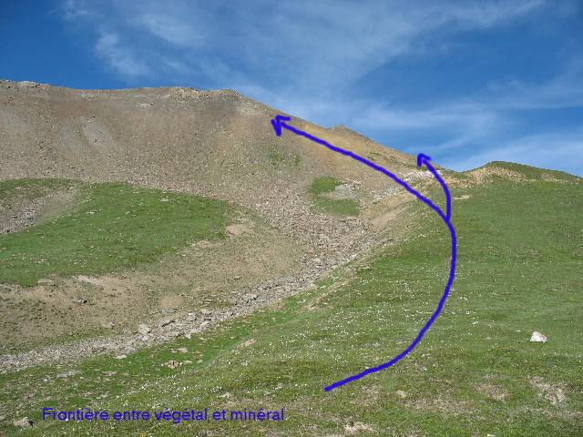 img0547kr6