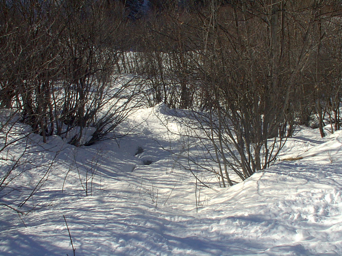 image0288mi