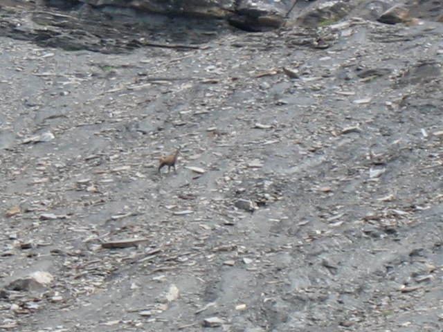 img0964xm0