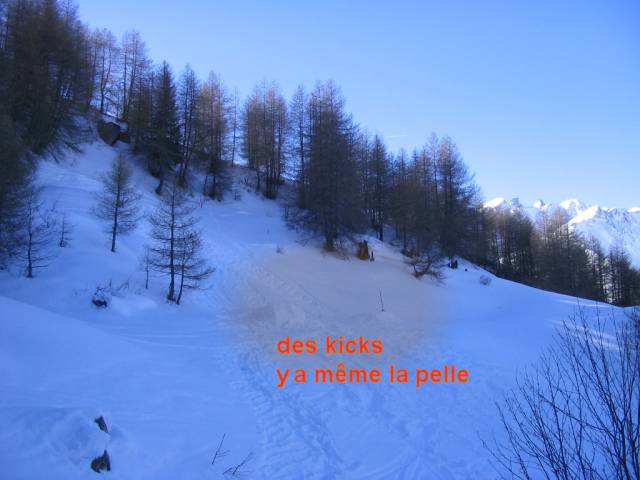 img1780tyd7