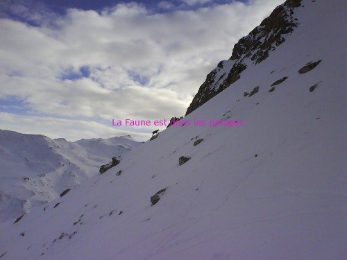 Le Chamois mais le vrai !!