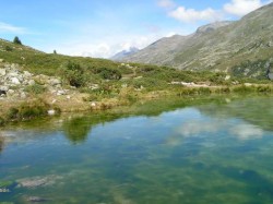 Le lac vert